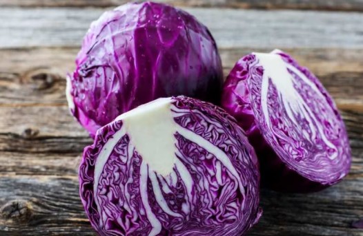 गजब फायदेमंद है बैंगनी रंग की पत्ता गोभी, कैंसर से लेकर दिल की बीमारियों का खतरा करेगी कम