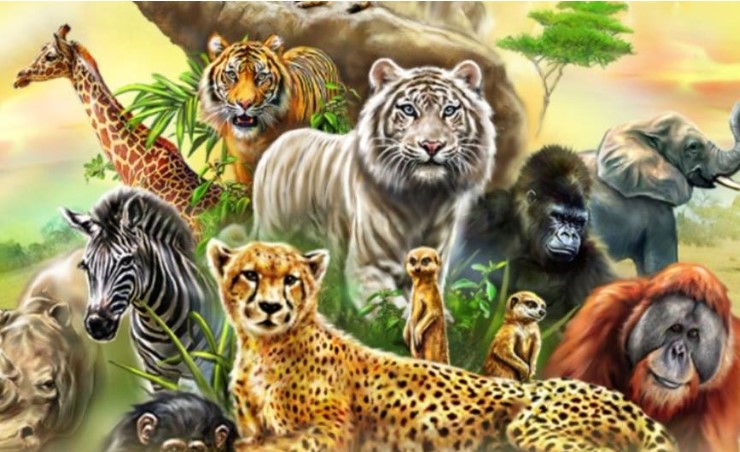 वन्‍यजीवों द्वारा मानवजीवन को खतरा, आखिर क्‍या है कुदरत का खेल