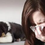 पालतू जानवरों से है एलर्जी? जानिए इसके इलाज के तरीके और अन्य जरूरी बातें