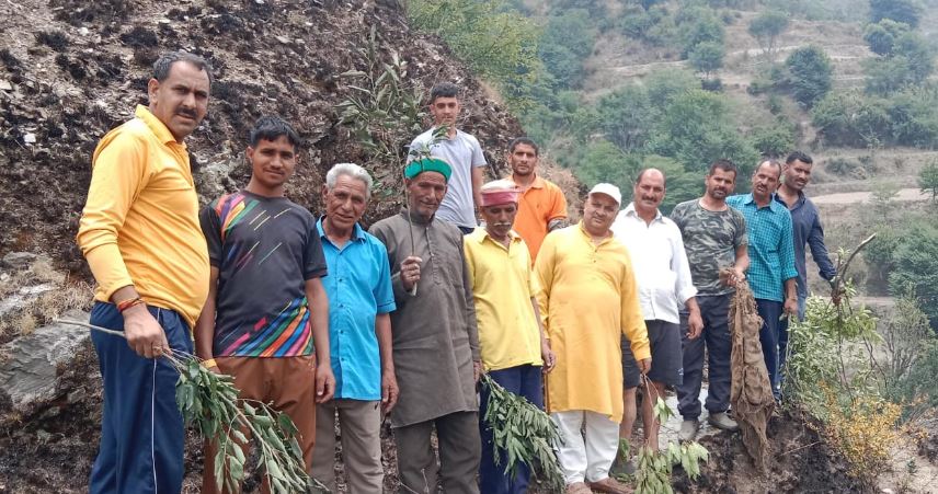 जंगल की आग पहुंची गांव तक, आग बुझाकर बाढौ गांव वासियों ने दिया मानवता का परिचय