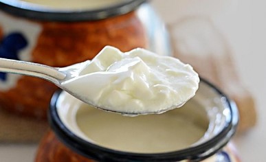 गर्मी में अगर आप भी रोजाना खा रहे हैं दही तो जान लें यह जरूरी बातें, वरना शरीर पर पड़ता है बुरा असर