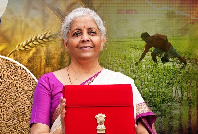 वित्त मंत्री ने बजट में सरकार की गिनाई नौ प्राथमिकताएं, खेती-किसानी के लिए किए बड़े एलान