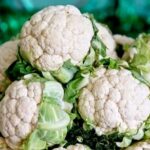 बारिश के मौसम में फूलगोभी में होने लगते हैं कीड़े, खाने से पहले साफ करके ऐसे पकाएं