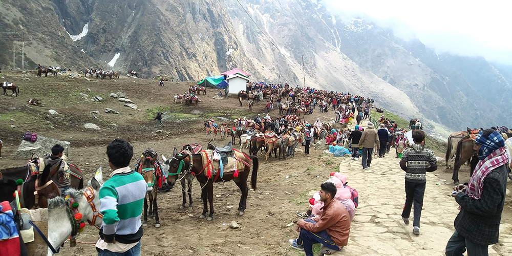 15 दिन से बन्द चल रहे केदारनाथ पैदल मार्ग पर फिर से शुरू हुई तीर्थयात्रा