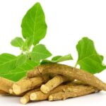 त्वचा की देखभाल के लिए इस्तेमाल करें अश्वगंधा, मिलेंगे ये 5 चमत्कारिक लाभ