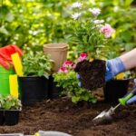 उत्तराखंड पीसीएस मुख्य परीक्षा स्थगित, आयोग ने जारी की सूचना