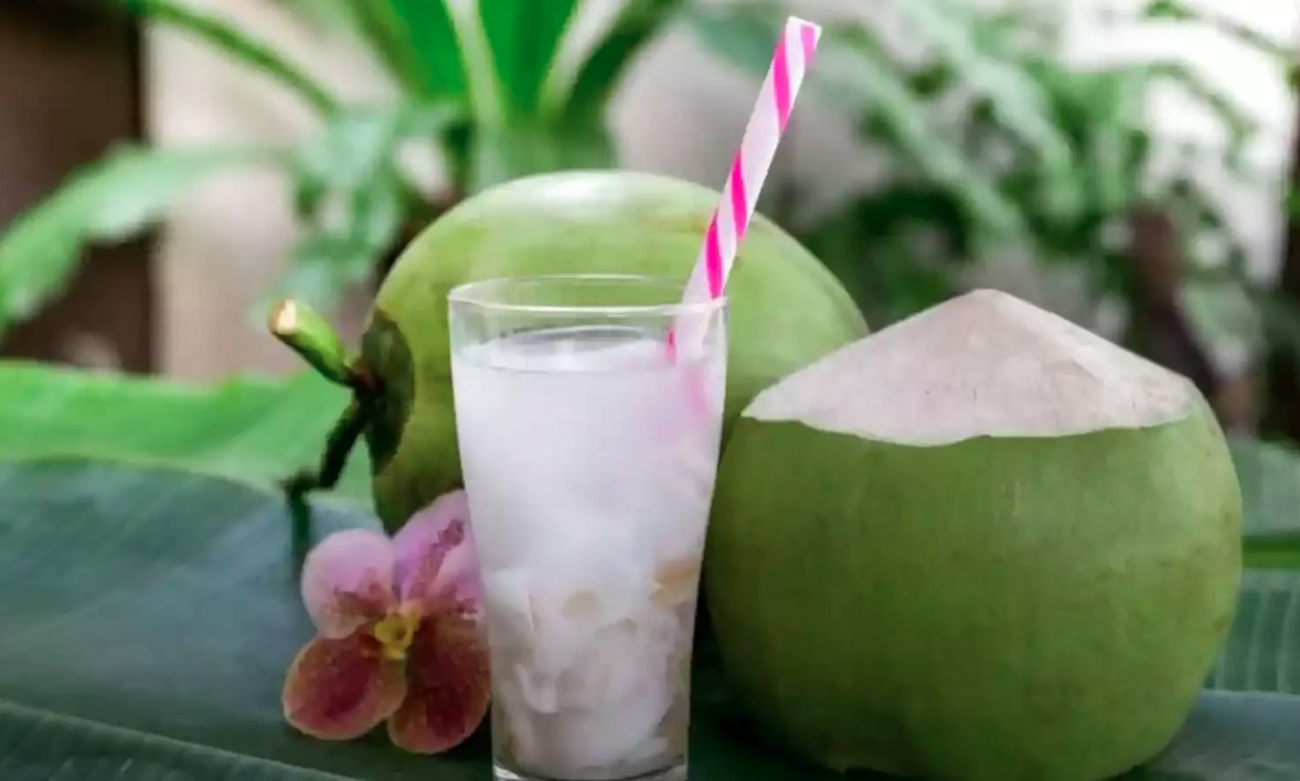 क्या केवल नारियल पानी पीने से ठीक हो जाता है हैंगओवर? आइए जानें इसकी सच्चाई