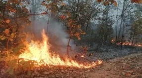 सात नई पिरुल ब्रिकेट्स यूनिट तैयार होंगी वनाग्नि सत्र से पहले