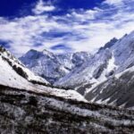 इस साल समय पर बर्फबारी होने से फूलों की घाटी में अच्छे फूल खिलने की उम्मीद