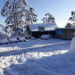 बर्फ की सफेद चादर में लिपटी मसूरी से लेकर औली, चकराता और नैनीताल की वादियां 