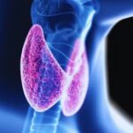 थायरॉइड को नजरअंदाज करना हो सकता है हानिकारक, शरीर के अंगों को करता है प्रभावित