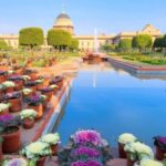 राष्ट्रपति भवन के प्रसिद्ध अमृत उद्यान को कल से जनता के लिए खोला जाएगा 