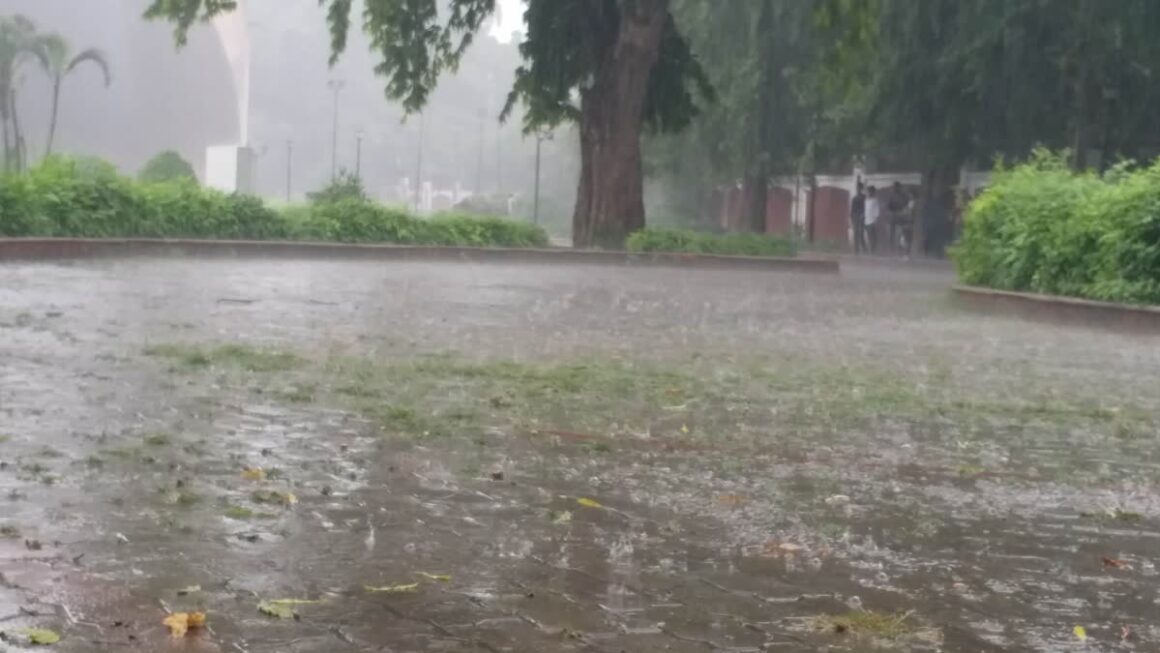 पहाड़ी क्षेत्रों में बारिश और ओलावृष्टि ने जमकर मचाई तबाही, फल और खड़ी फसलें हुई बर्बाद 