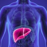 क्या आप भी हैं फैटी लिवर की समस्या से परेशान, तो आइये जानते हैं इसके कारण और बचाव के उपाय