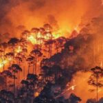 24 घंटे में जंगल की आग की 12 घटनाएं, अब तक 136 हेक्टेयर क्षेत्र प्रभावित