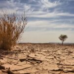 जलवायु परिवर्तन और मौसम के पैटर्न में हुए बदलाव का अब सीधा तापमान पर पड़ेगा असर 