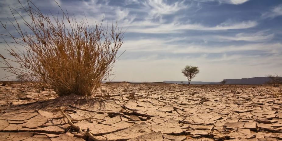 जलवायु परिवर्तन और मौसम के पैटर्न में हुए बदलाव का अब सीधा तापमान पर पड़ेगा असर 