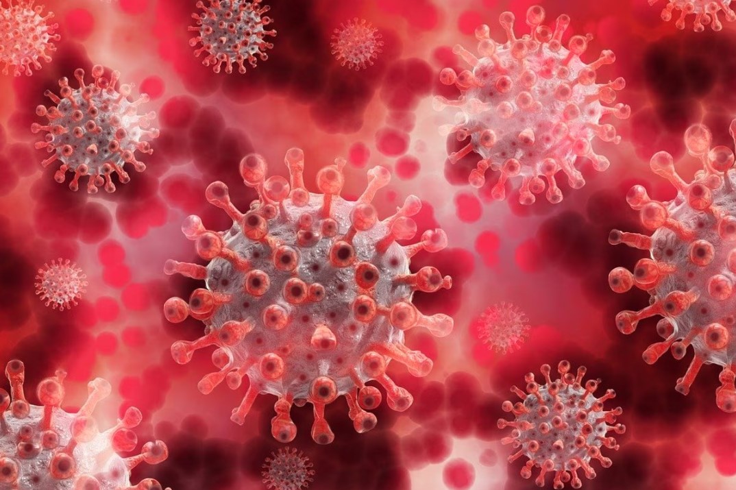 उत्तराखंड सरकार सतर्क- कोविड-19 प्रबंधन पर उच्चस्तरीय समीक्षा बैठक आयोजित