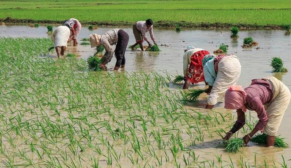 किसानों के लिए खुशखबरी- MSP में 50% तक की बढ़ोतरी को मिली मंजूरी