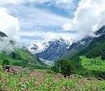 फूलों की घाटी एक बार फिर पर्यटकों के लिए खुली